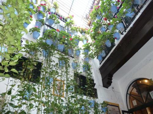 El Refugio De Elody Lägenhet Málaga Exteriör bild